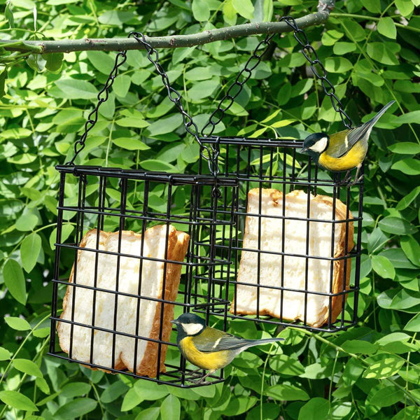 17 Stories 2 Pack Suet Bird Feeders, Suet Feeders For Outside Hanging